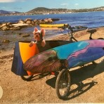 Turbo’s trike  products