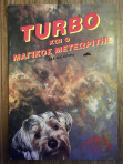 Turbo και ο Μαγικός Μετεωρίτης