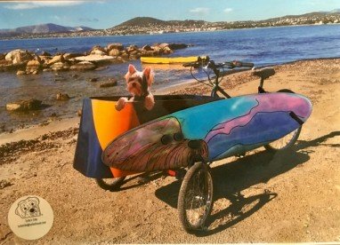 Turbo’s trike  products