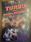 Turbo και ο Μαγικός Μετεωρίτης