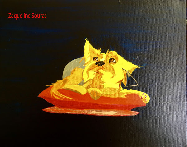 Turbo and Quabida 11